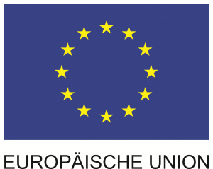 EU Flagge